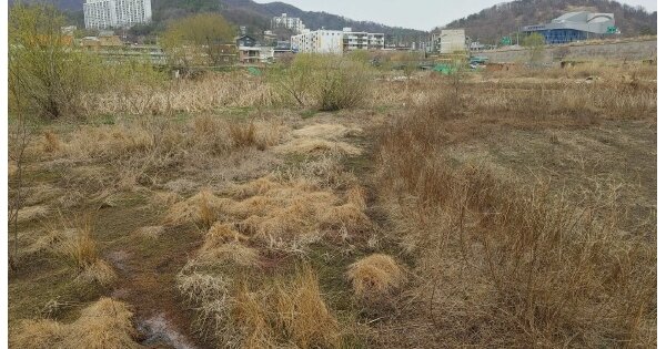 경상남도 밀양시 교동 OOOOOO O OOO 답 경매 물건 이미지