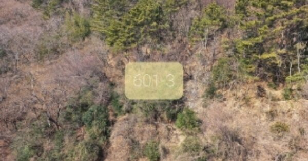 부산광역시 수영구 광안동 OOOOOO 임야 경매 물건 이미지