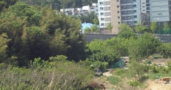 경상남도 밀양시 교동 OOOOOO 전 경매 물건 이미지