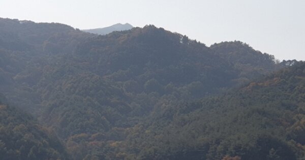 경상남도 함양군 서하면 봉전리 OOOOOO O OOO 임야 경매 물건 이미지