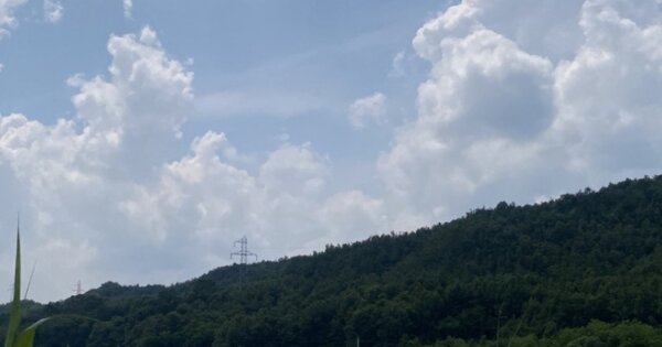 경상북도 예천군 지보면 마전리 OOOOO 임야 경매 물건 이미지