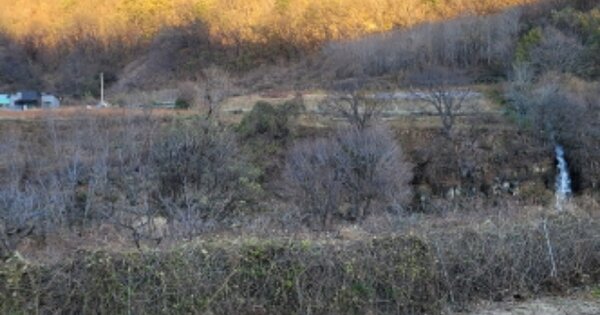 경상북도 영덕군 달산면 옥산리 OOO 하천 경매 물건 이미지