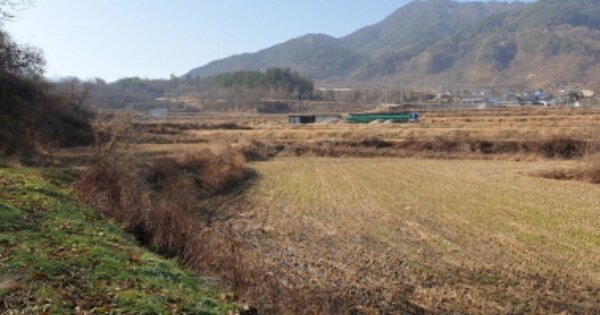 경상남도 함양군 함양읍 난평리 OOO 답 경매 물건 이미지