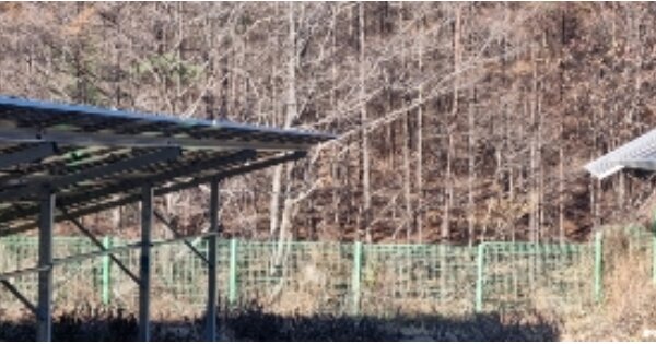 전라북도 장수군 장수읍 식천리 OOO 과수원 경매 물건 이미지
