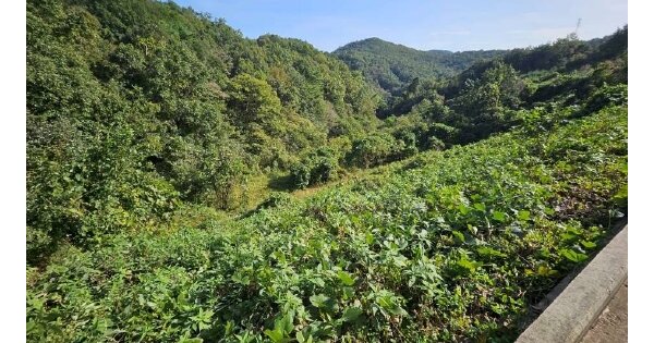 경상북도 문경시 호계면 선암리 OOOOO O OOO 답 경매 물건 이미지
