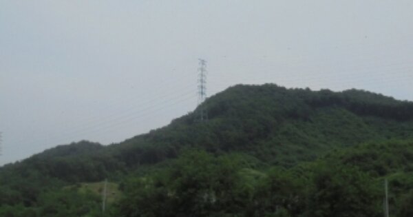 충청북도 충주시 소태면 동막리 OO O OOO 임야 경매 물건 이미지