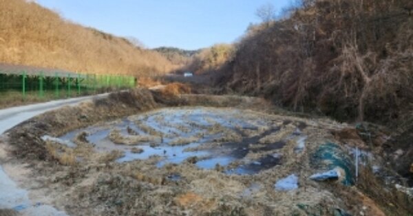 경상북도 안동시 임하면 천전리 OOO 답 경매 물건 이미지