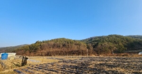 경상북도 안동시 일직면 운산리 OOOO 임야 경매 물건 이미지