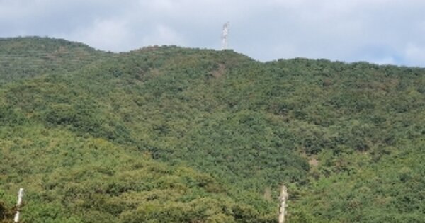경상남도 창원시 마산합포구 진북면 대티리 OOO 임야 경매 물건 이미지