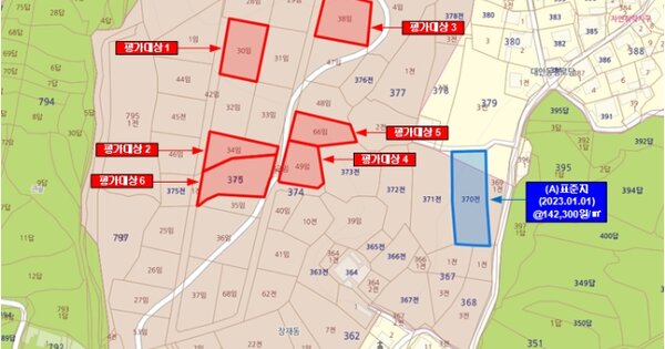 전라남도 무안군 삼향읍 임성리 OOOOOO 임야 경매 물건 이미지