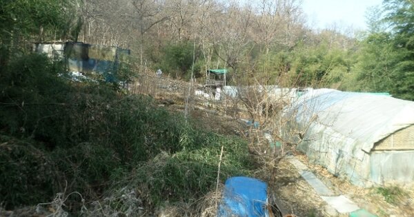 경상북도 구미시 황상동 OO 임야 경매 물건 이미지