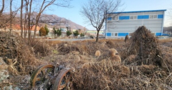 경상북도 김천시 남면 부상리 OOOOO O OOO 공장 경매 물건 이미지
