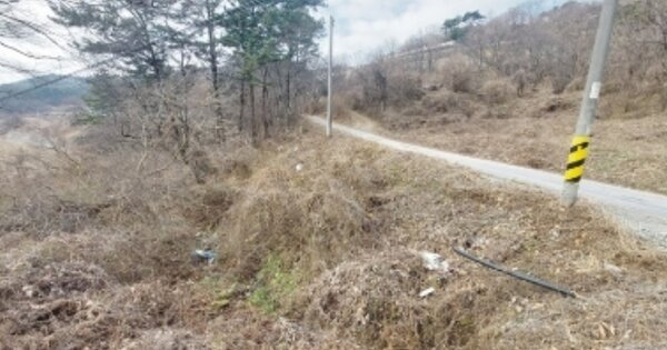 충청남도 예산군 덕산면 광천리 OOOOO O OOO 임야 경매 물건 이미지