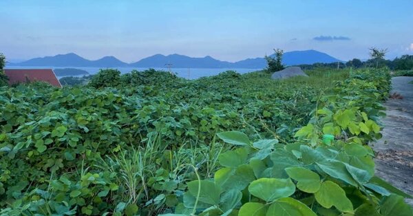 경상남도 남해군 설천면 문항리 OOOOOO O OOO 답 경매 물건 이미지