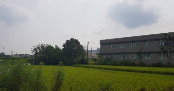 충청남도 아산시 배방읍 세출리 OOOOO O OOO 답 경매 물건 이미지