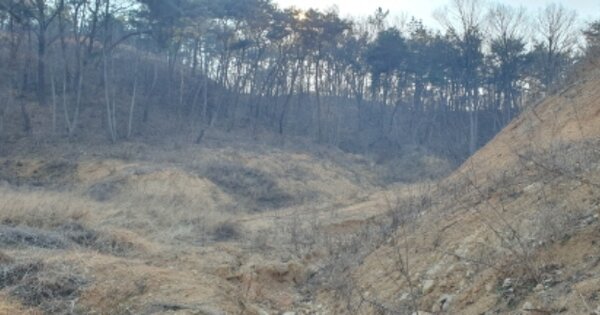 경상북도 성주군 선남면 동암리 OOOOO 임야 경매 물건 이미지