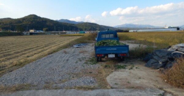 경상남도 산청군 신안면 장죽리 OOOOOO 답 경매 물건 이미지