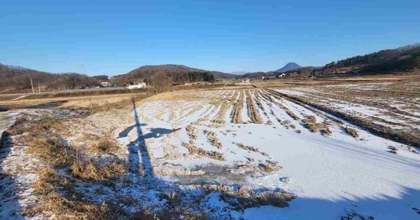 경기도 여주시 대신면 천서리 OOO 답 경매 물건 이미지