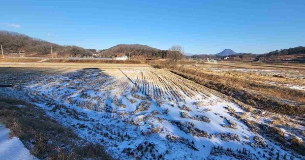 경기도 여주시 대신면 천서리 OOOOO 답 경매 물건 이미지