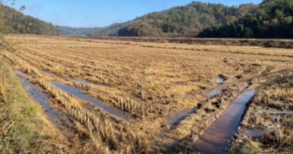 경상남도 사천시 곤양면 묵곡리 OOOOOO 답 경매 물건 이미지