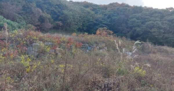 경기도 파주시 광탄면 기산리 OOO 대지 경매 물건 이미지