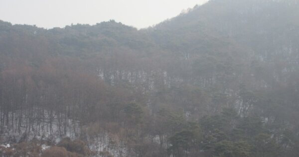 충청북도 괴산군 청천면 거봉리 OOOOO O OOO 임야 경매 물건 이미지