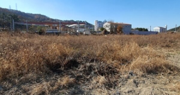 경상남도 김해시 진영읍 신용리 OOOOO 답 경매 물건 이미지