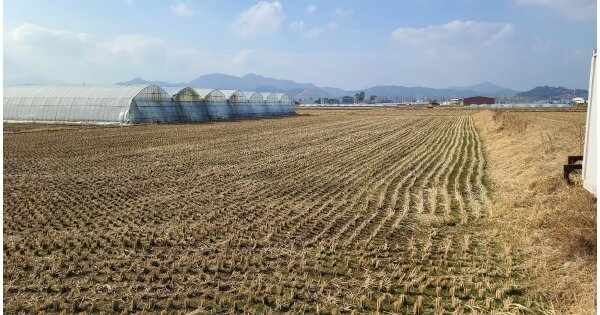경상남도 창원시 의창구 대산면 모산리 OOOOO O OOO 답 경매 물건 이미지