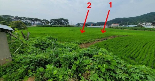 인천광역시 옹진군 덕적면 진리 OOO O OOO 답 경매 물건 이미지