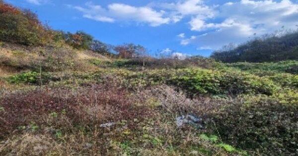 충청북도 영동군 양강면 가동리 OOO 전 경매 물건 이미지