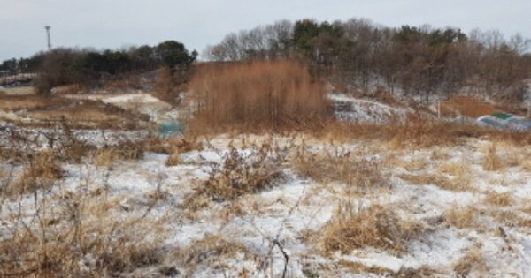 세종특별자치시 장군면 하봉리 OOOOO O OOO 전 경매 물건 이미지
