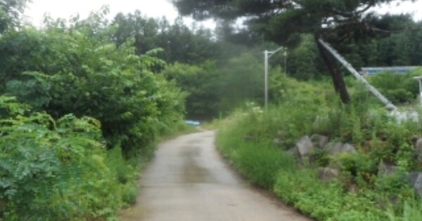 강원특별자치도 평창군 용평면 재산리 OOOOOOO O OOO 단독주택 경매 물건 이미지