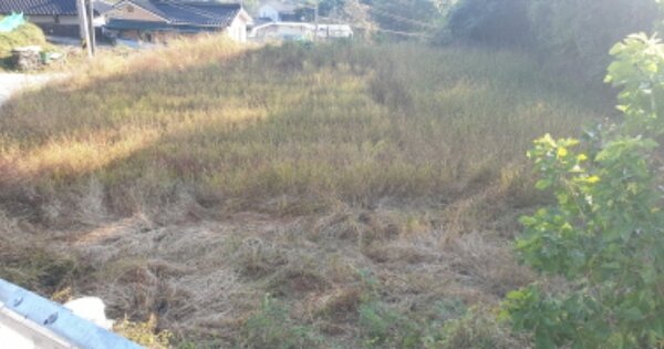 경상남도 함양군 병곡면 광평리 OOOOO 답 경매 물건 이미지