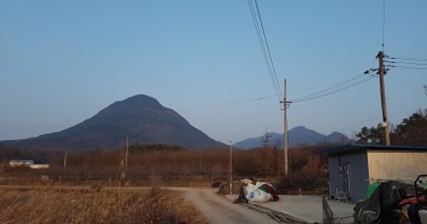 경상북도 의성군 금성면 산운리 OO 답 경매 물건 이미지