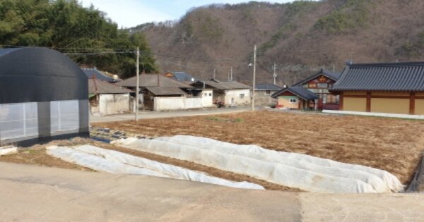 경상남도 합천군 삼가면 외토리 OOO 전 경매 물건 이미지