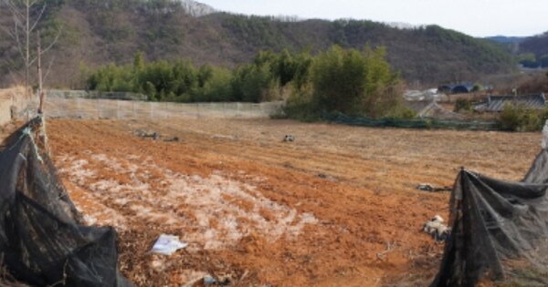 경상남도 합천군 삼가면 외토리 OOOOO 전 경매 물건 이미지