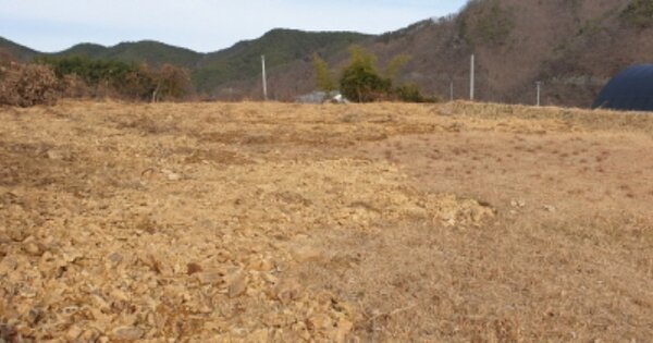 경상남도 합천군 삼가면 외토리 OOOOO 전 경매 물건 이미지