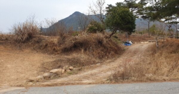 경상남도 거창군 가조면 수월리 OOOOOOO 임야 경매 물건 이미지