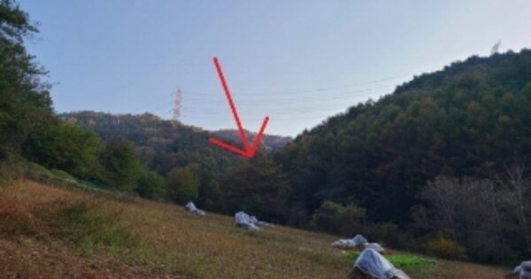 강원특별자치도 정선군 화암면 석곡리 OOO O OOO 임야 경매 물건 이미지