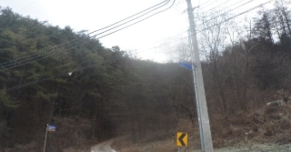 강원특별자치도 영월군 산솔면 화원리 OOOOO 임야 경매 물건 이미지