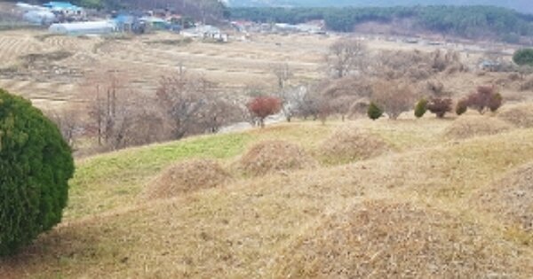 충청남도 보령시 화산동 OOOOO 임야 경매 물건 이미지