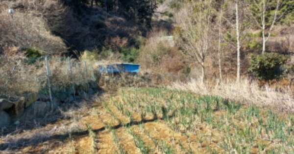 경상남도 거제시 하청면 유계리 OOOO 답 경매 물건 이미지