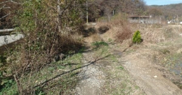 충청남도 논산시 벌곡면 어곡리 OOO 답 경매 물건 이미지