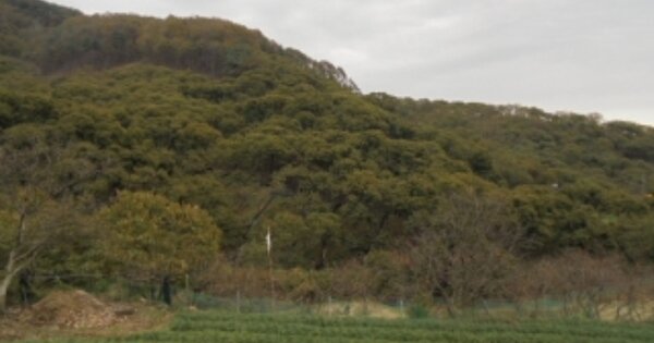 충청남도 부여군 은산면 각대리 OOO 답 경매 물건 이미지
