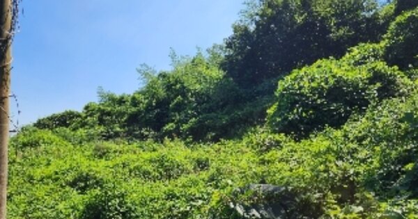 경상남도 통영시 산양읍 신전리 OOOOO 단독주택 경매 물건 이미지