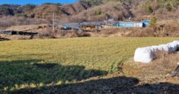 전라북도 장수군 장수읍 노곡리 OOOOO 임야 경매 물건 이미지
