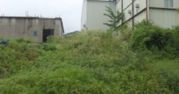 경상남도 산청군 금서면 화계리 OOOOO O OOO 공장 경매 물건 이미지
