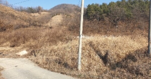 충청북도 충주시 동량면 대전리 OO 과수원 경매 물건 이미지