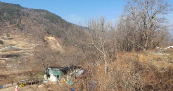 경상북도 성주군 가천면 법전리 OOOO 임야 경매 물건 이미지