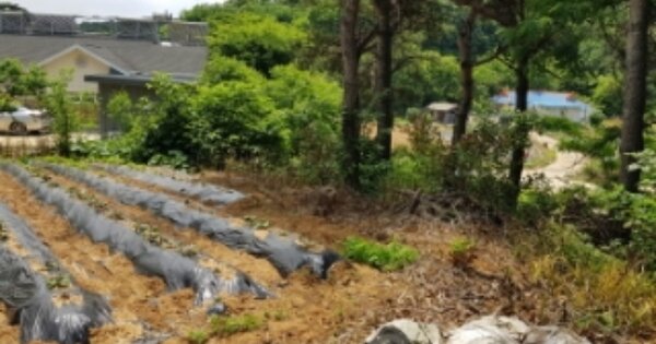 충청남도 당진시 송산면 무수리 OOOOO 임야 경매 물건 이미지